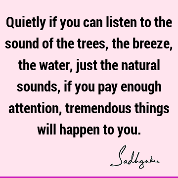 Quietly if you can listen to the sound of the trees, the breeze, the water, just the natural sounds, if you pay enough attention, tremendous things will happen