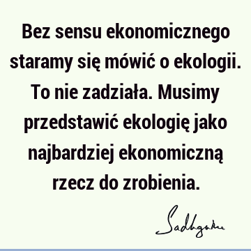 Bez sensu ekonomicznego staramy się mówić o ekologii. To nie zadziała. Musimy przedstawić ekologię jako najbardziej ekonomiczną rzecz do