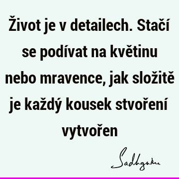 Život je v detailech. Stačí se podívat na květinu nebo mravence, jak složitě je každý kousek stvoření vytvoř