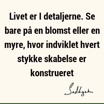 Livet er i detaljerne. Se bare på en blomst eller en myre, hvor indviklet hvert stykke skabelse er