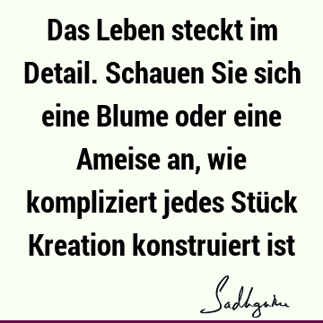 Das Leben steckt im Detail. Schauen Sie sich eine Blume oder eine Ameise an, wie kompliziert jedes Stück Kreation konstruiert