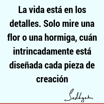 La vida está en los detalles. Solo mire una flor o una hormiga, cuán intrincadamente está diseñada cada pieza de creació