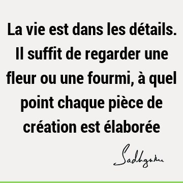 La vie est dans les détails. Il suffit de regarder une fleur ou une fourmi, à quel point chaque pièce de création est élaboré