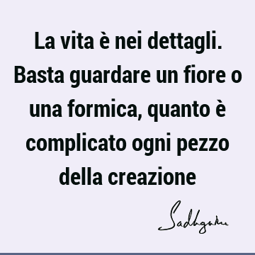 La vita è nei dettagli. Basta guardare un fiore o una formica, quanto è complicato ogni pezzo della