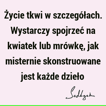 Życie tkwi w szczegółach. Wystarczy spojrzeć na kwiatek lub mrówkę, jak misternie skonstruowane jest każde dzieł