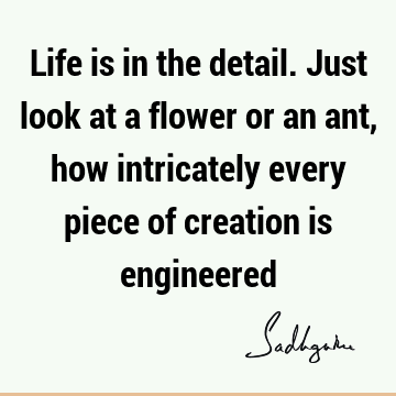 Life is in the detail. Just look at a flower or an ant, how intricately every piece of creation is