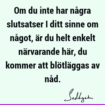 Om du inte har några slutsatser i ditt sinne om något, är du helt enkelt närvarande här, du kommer att blötläggas av nå