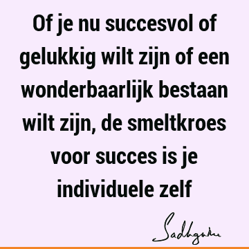 Of je nu succesvol of gelukkig wilt zijn of een wonderbaarlijk bestaan wilt zijn, de smeltkroes voor succes is je individuele