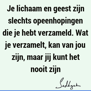 Je lichaam en geest zijn slechts opeenhopingen die je hebt verzameld. Wat je verzamelt, kan van jou zijn, maar jij kunt het nooit