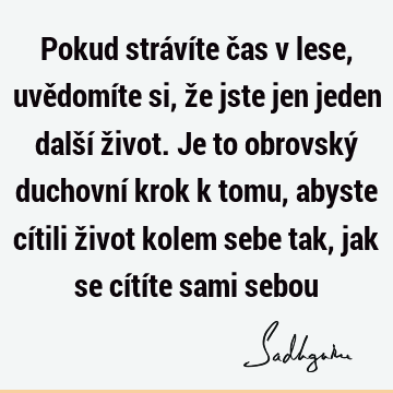 Pokud strávíte čas v lese, uvědomíte si, že jste jen jeden další život. Je to obrovský duchovní krok k tomu, abyste cítili život kolem sebe tak, jak se cítíte