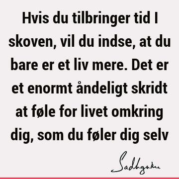 Hvis du tilbringer tid i skoven, vil du indse, at du bare er et liv mere. Det er et enormt åndeligt skridt at føle for livet omkring dig, som du føler dig