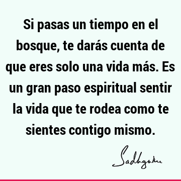 Si pasas un tiempo en el bosque, te darás cuenta de que eres solo una vida más. Es un gran paso espiritual sentir la vida que te rodea como te sientes contigo