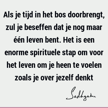 Als je tijd in het bos doorbrengt, zul je beseffen dat je nog maar één leven bent. Het is een enorme spirituele stap om voor het leven om je heen te voelen