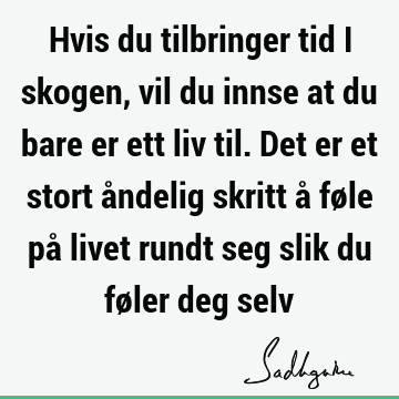 Hvis du tilbringer tid i skogen, vil du innse at du bare er ett liv til. Det er et stort åndelig skritt å føle på livet rundt seg slik du føler deg