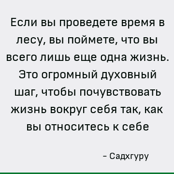 Если вы проведете время в лесу, вы поймете, что вы всего лишь еще одна жизнь. Это огромный духовный шаг, чтобы почувствовать жизнь вокруг себя так, как вы относ