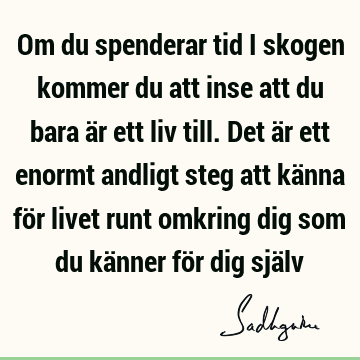 Om du spenderar tid i skogen kommer du att inse att du bara är ett liv till. Det är ett enormt andligt steg att känna för livet runt omkring dig som du känner