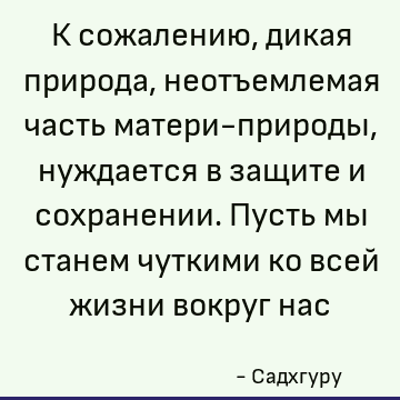 К сожалению, дикая природа, неотъемлемая часть матери-природы, нуждается в защите и сохранении. Пусть мы станем чуткими ко всей жизни вокруг нас