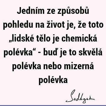 Jedním ze způsobů pohledu na život je, že toto „lidské tělo je chemická polévka“ - buď je to skvělá polévka nebo mizerná polé