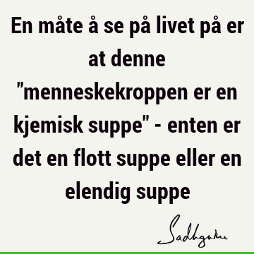 En måte å se på livet på er at denne "menneskekroppen er en kjemisk suppe" - enten er det en flott suppe eller en elendig