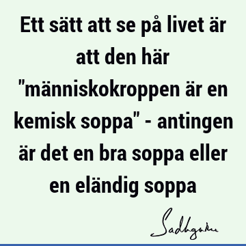 Ett sätt att se på livet är att den här "människokroppen är en kemisk soppa" - antingen är det en bra soppa eller en eländig