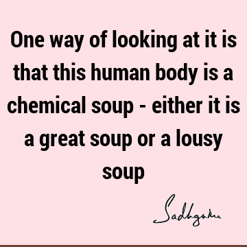 One way of looking at it is that this human body is a chemical soup - either it is a great soup or a lousy