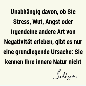 Unabhängig davon, ob Sie Stress, Wut, Angst oder irgendeine andere Art von Negativität erleben, gibt es nur eine grundlegende Ursache: Sie kennen Ihre innere N