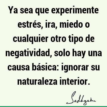 Ya sea que experimente estrés, ira, miedo o cualquier otro tipo de negatividad, solo hay una causa básica: ignorar su naturaleza