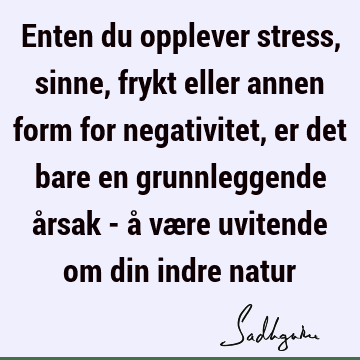 Enten du opplever stress, sinne, frykt eller annen form for negativitet, er det bare en grunnleggende årsak - å være uvitende om din indre