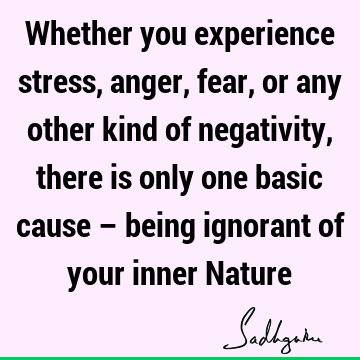 Whether you experience stress, anger, fear, or any other kind of negativity, there is only one basic cause – being ignorant of your inner N