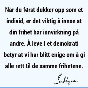 Når du først dukker opp som et individ, er det viktig å innse at din frihet har innvirkning på andre. Å leve i et demokrati betyr at vi har blitt enige om å gi