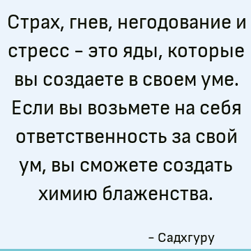 Страх, гнев, негодование и стресс - это яды, которые вы создаете в своем уме. Если вы возьмете на себя ответственность за свой ум, вы сможете создать химию блаж