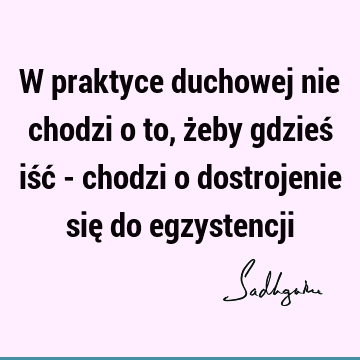 W praktyce duchowej nie chodzi o to, żeby gdzieś iść - chodzi o dostrojenie się do