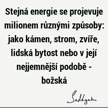 Stejná energie se projevuje milionem různými způsoby: jako kámen, strom, zvíře, lidská bytost nebo v její nejjemnější podobě - božská