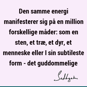 Den samme energi manifesterer sig på en million forskellige måder: som en sten, et træ, et dyr, et menneske eller i sin subtileste form - det