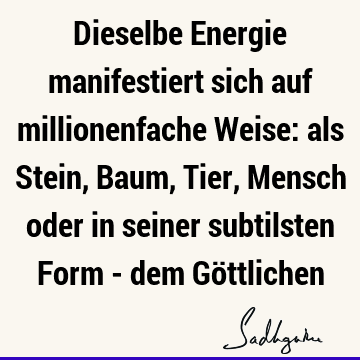 Dieselbe Energie manifestiert sich auf millionenfache Weise: als Stein, Baum, Tier, Mensch oder in seiner subtilsten Form - dem Gö