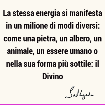 La stessa energia si manifesta in un milione di modi diversi: come una pietra, un albero, un animale, un essere umano o nella sua forma più sottile: il D