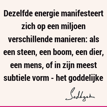 Dezelfde energie manifesteert zich op een miljoen verschillende manieren: als een steen, een boom, een dier, een mens, of in zijn meest subtiele vorm - het