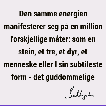 Den samme energien manifesterer seg på en million forskjellige måter: som en stein, et tre, et dyr, et menneske eller i sin subtileste form - det