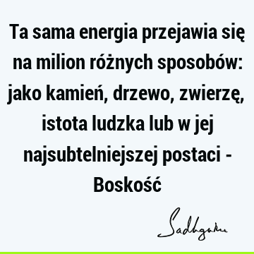 Ta sama energia przejawia się na milion różnych sposobów: jako kamień, drzewo, zwierzę, istota ludzka lub w jej najsubtelniejszej postaci - Boskość