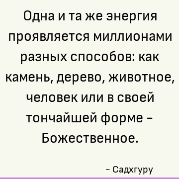 Одна и та же энергия проявляется миллионами разных способов: как камень, дерево, животное, человек или в своей тончайшей форме - Божественное