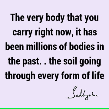 The very body that you carry right now, it has been millions of bodies in the past.. the soil going through every form of