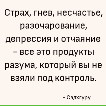 Страх, гнев, несчастье, разочарование, депрессия и отчаяние - все это продукты разума, который вы не взяли под контроль
