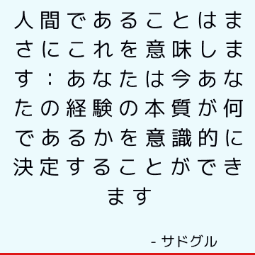 人間であることはまさにこれを意味します：あなたは今あなたの経験の本質が何であるかを意識的に決定することができます