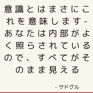 意識とはまさにこれを意味します-あなたは内部がよく照らされているので、すべてがそのまま見える