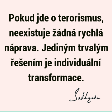 Pokud jde o terorismus, neexistuje žádná rychlá náprava. Jediným trvalým řešením je individuální