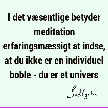 I det væsentlige betyder meditation erfaringsmæssigt at indse, at du ikke er en individuel boble - du er et