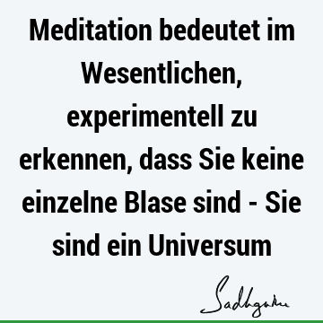 Meditation bedeutet im Wesentlichen, experimentell zu erkennen, dass Sie keine einzelne Blase sind - Sie sind ein U