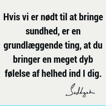 Hvis vi er nødt til at bringe sundhed, er en grundlæggende ting, at du bringer en meget dyb følelse af helhed ind i