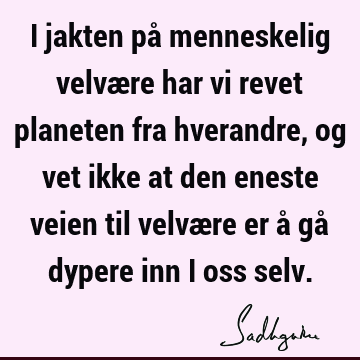 I jakten på menneskelig velvære har vi revet planeten fra hverandre, og vet ikke at den eneste veien til velvære er å gå dypere inn i oss