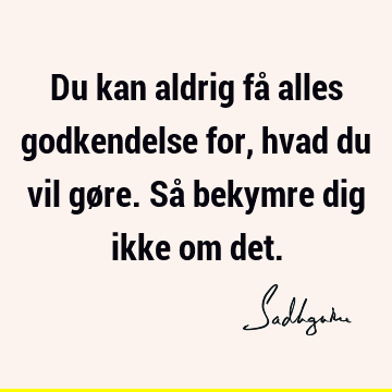 Du kan aldrig få alles godkendelse for, hvad du vil gøre. Så bekymre dig ikke om